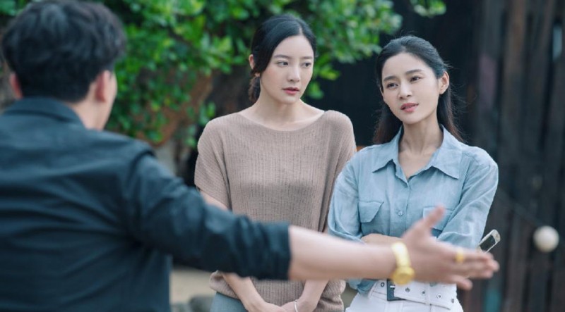 电视剧湾区儿女剧情分集介绍第29集