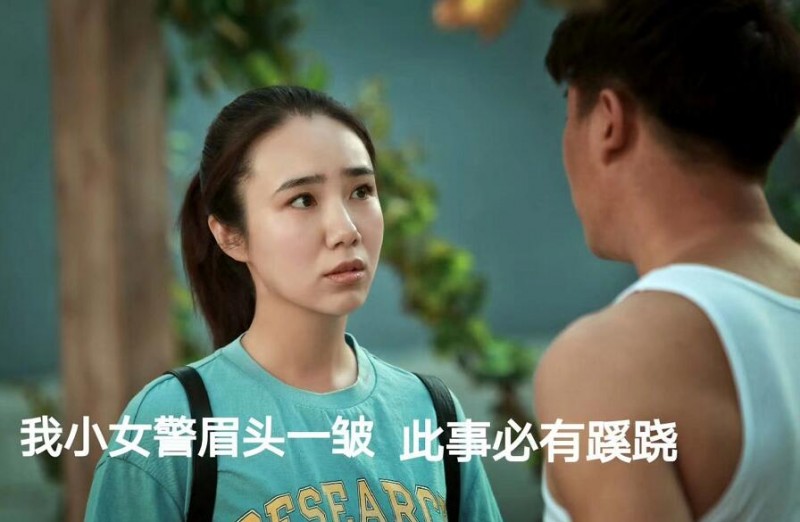 电视剧小镇警事剧情分集介绍第9集