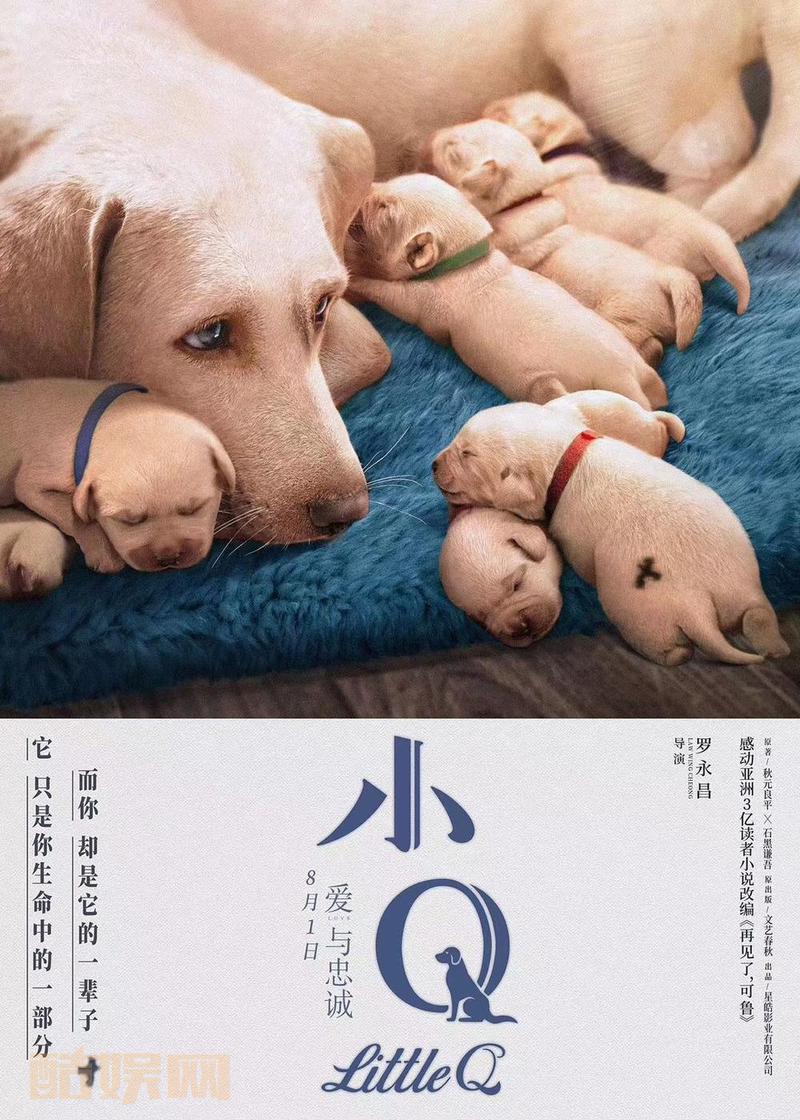 正式海报