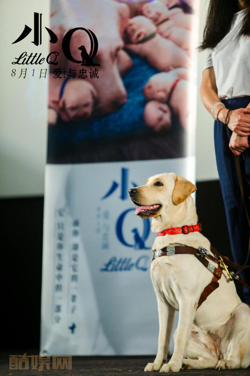 其他新闻图片