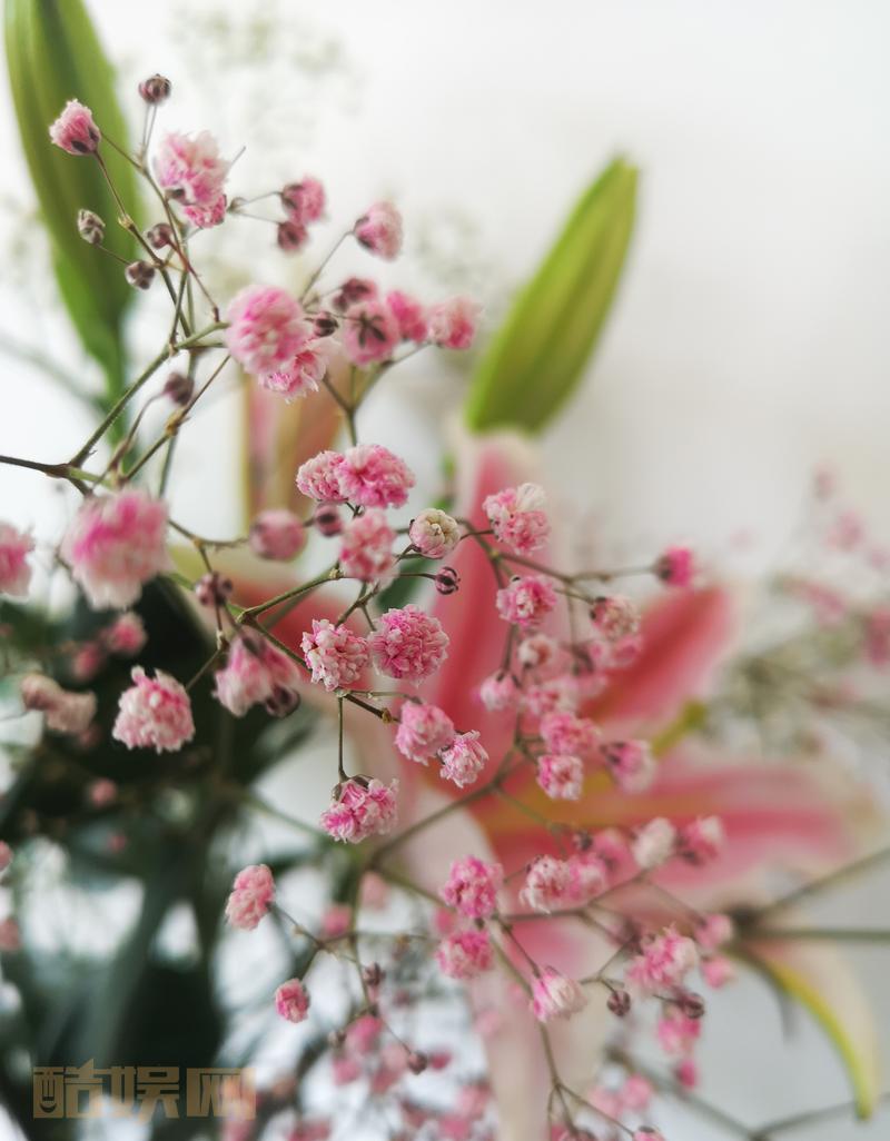 无奈，难受了又如何，人性经不起考验，又能怎么样！！看看这花，也许能好点吧！人世间太多苦了，笑着面对！