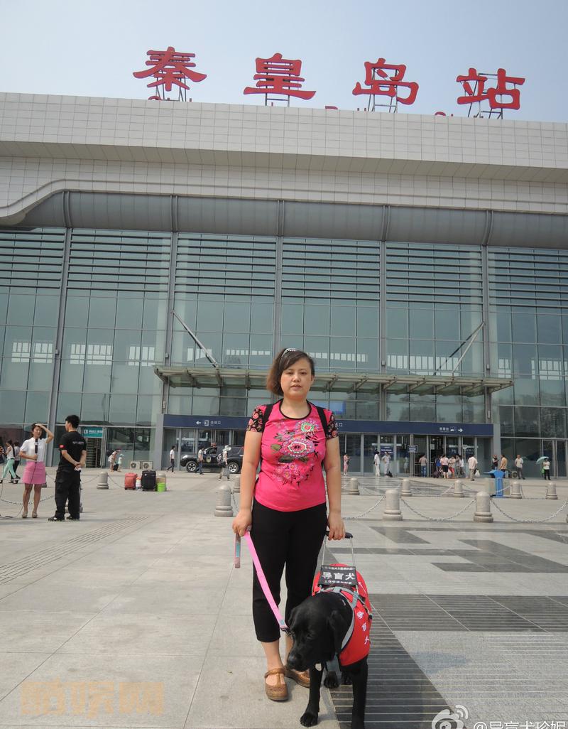 珍妮带妈妈从秦皇岛火车站乘坐D6次动车回家了。这是珍妮当导盲犬以来第一次坐火车。珍妮在公共场合一声不吭默默的带着盲人妈妈走路。珍妮的敬业感动了所有车站和车厢里的工作人员，也让乘客们刮目相看。导盲犬是经过严格训练的，她不会干扰任何人，您愿意跟导盲犬同在公共场合吗，如愿意，请转发！ 