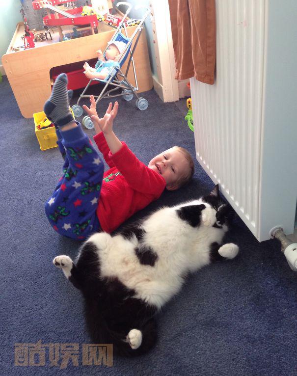 那些以为自己是宠物的熊孩子们 