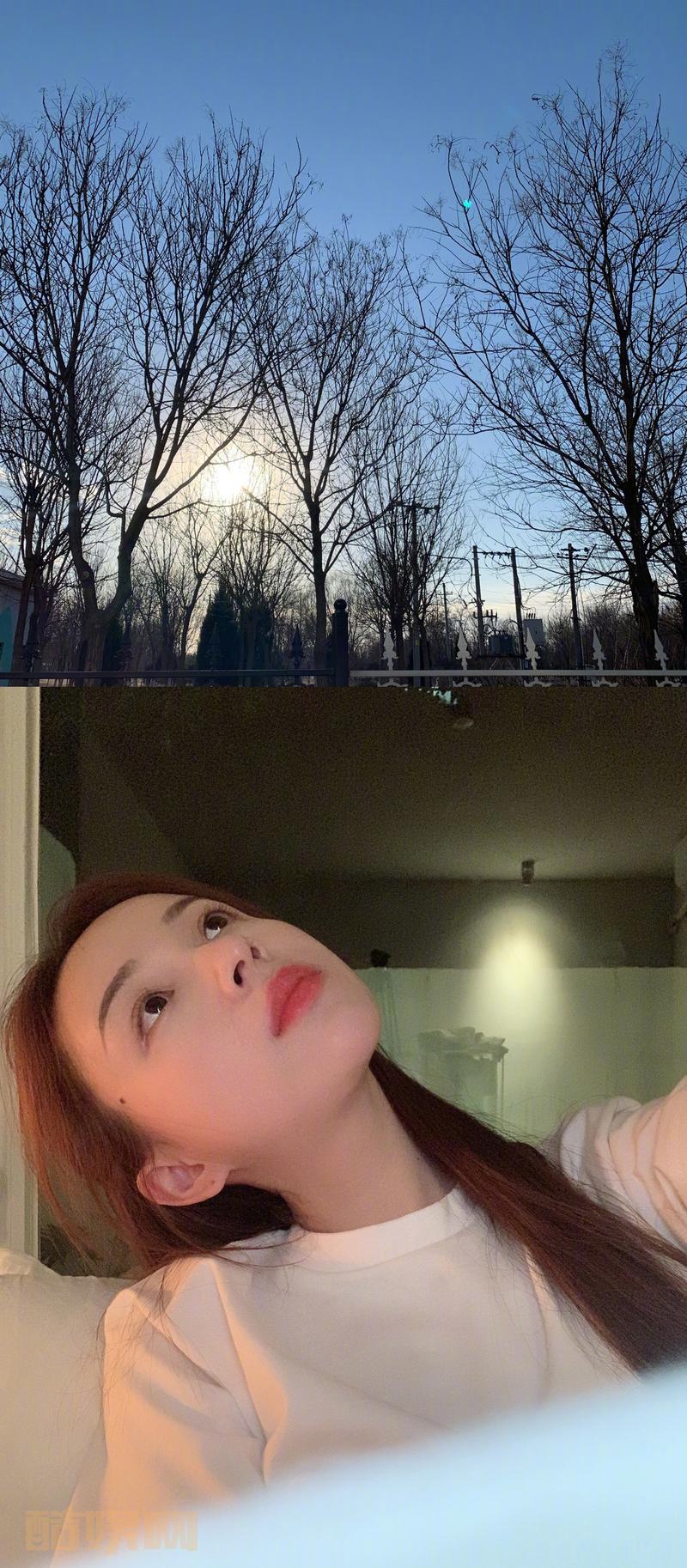 翻翻手机发现我真是拍了不少树