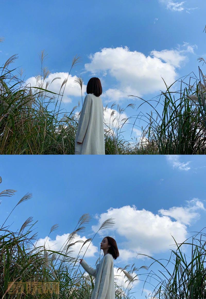 在济州岛出差凑够了九图的我&hellip;这儿很美～ 喜欢。 