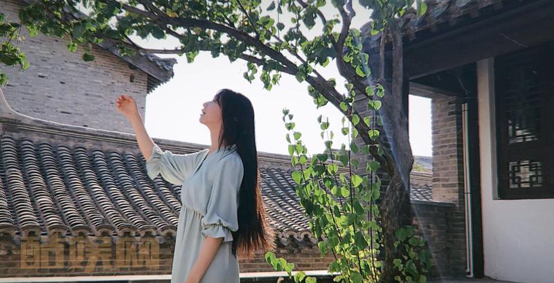 今天的鹿与自然 北京&middot;古北水镇 