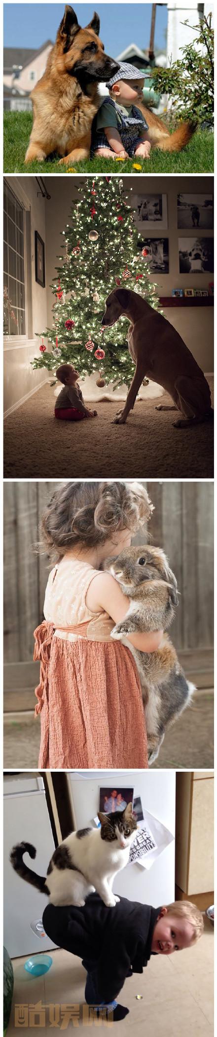 网友分享的一宠一娃搭配的和谐场面，超级温馨！ 