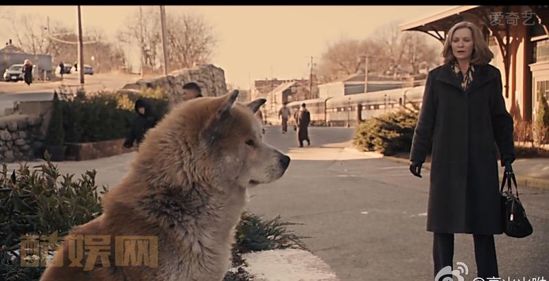 忽然好喜欢秋田。大家没看过的可以看下忠犬八公的故事。