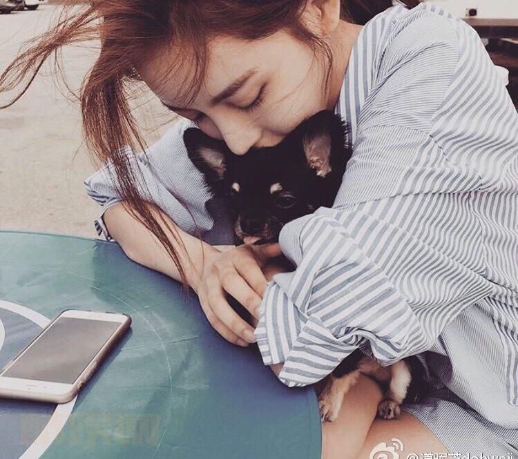 우리 테리의 새로운 친구