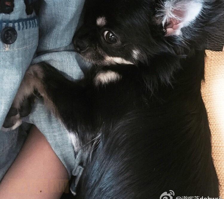 이번에는 많이 올렸는데 거의다 우리 테리사진이네