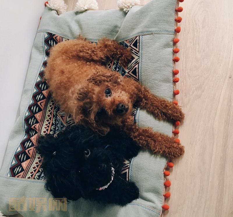 #rovvxhyoInstagram##孔晓振##孔孝真##Konghyojin##Gonghyojin# 