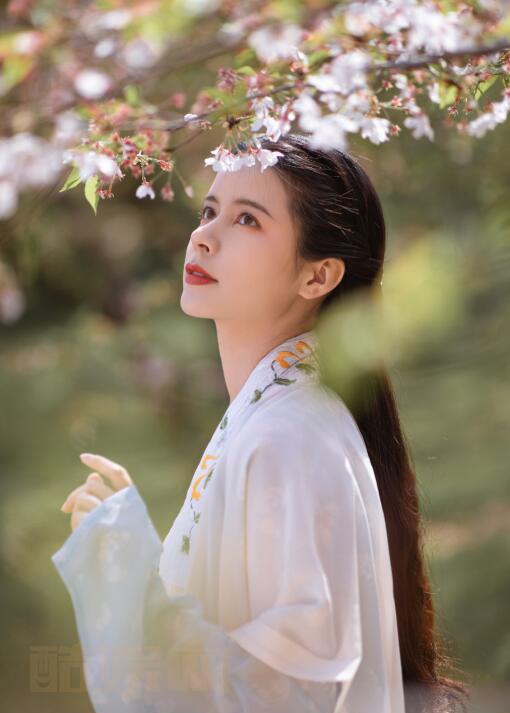 圣微典雅汉服写真