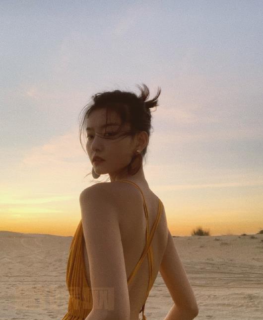 王美林性感写真