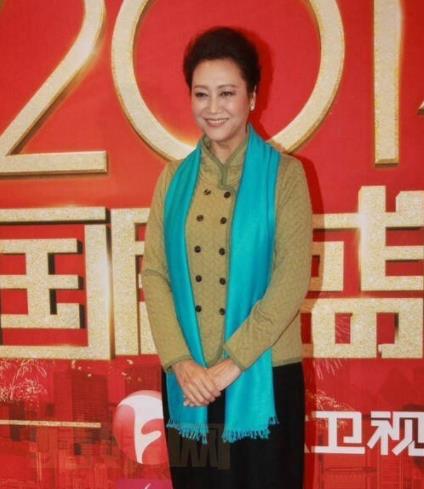 王丽云个人资料简介 王丽云活动照